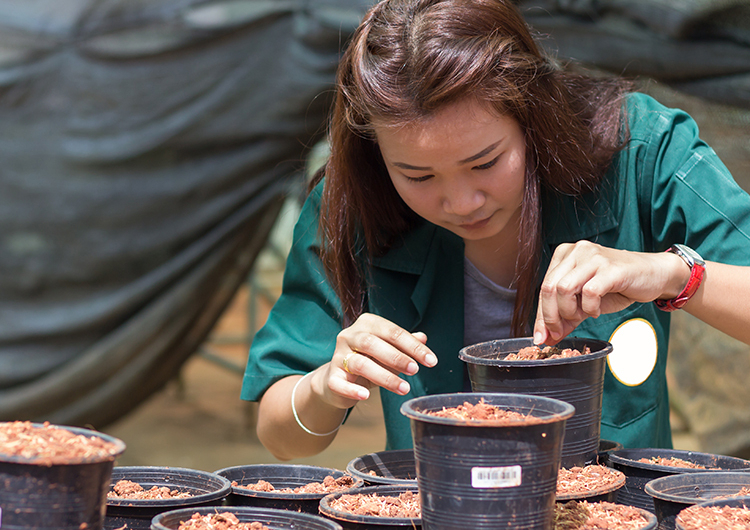 WVSD FUTURES Agriculture