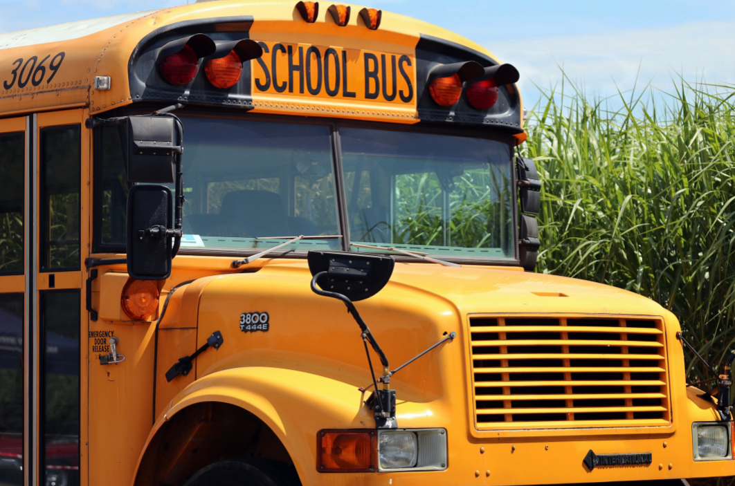 Stock Bus Image