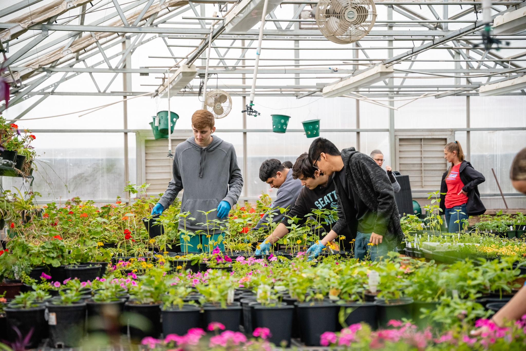 HS Greenhouse